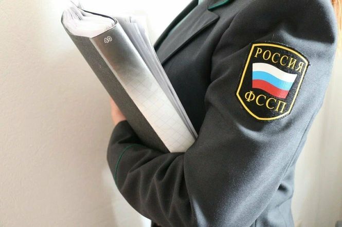 ФССП возьмет под контроль деятельность микрофинансовых организаций по возврату долгов ФССП возьмет под контроль деятельность микрофинансовых организаций по возврату долгов
